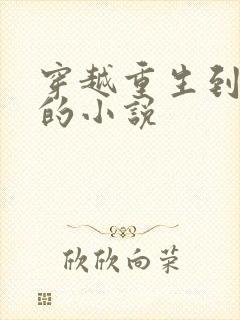 穿越重生到古代的小说