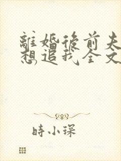 离婚后前夫总是想追我全文免费阅读