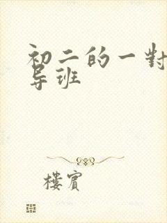 初二的一对一辅导班