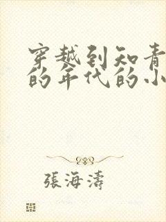 穿越到知青下乡的年代的小说