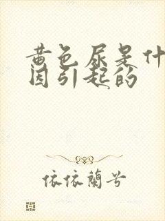 黄色尿是什么原因引起的