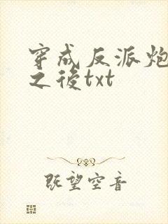 穿成反派炮灰攻之后txt