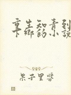 重生知青到东北下乡的小说