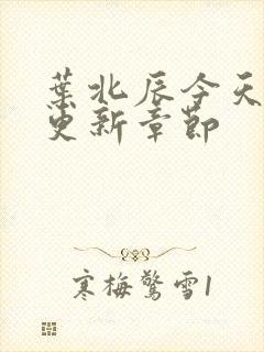 叶北辰今天最新更新章节