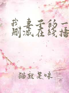 我妻子的一切未删减在线播放