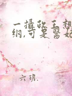 一摄政王想立夫纲,可是医妃太狂