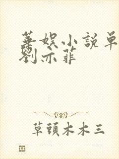 华娱小说单女主刘亦菲