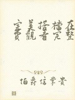 完美搭档在线免费观看完整版