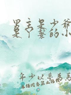 男主是少爷女主是丫鬟的小说