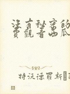 没有秘密的你免费观看西瓜