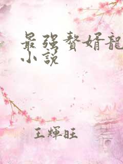 最强赘婿龙王殿小说