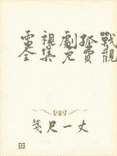 电视剧孤战迷城全集免费观看高清