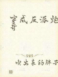 穿成反派炮灰他哥