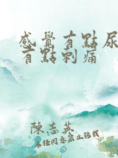 感觉有点尿不尽有点刺痛