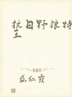 抗日野狼特战兵王