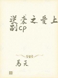 逆袭之爱上情敌副cp