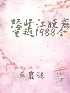 陆峰江晓燕全本重返1988全文