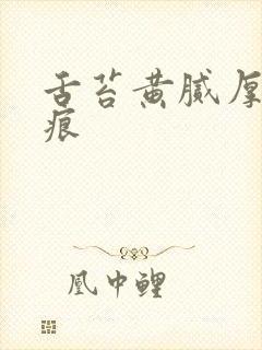 舌苔黄腻厚有齿痕