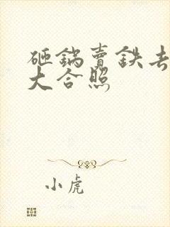 砸锅卖铁去上学大合照