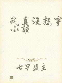 我真没想穿越啊小说