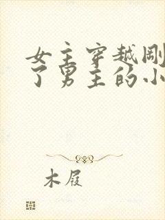 女主穿越刚好救了男主的小说