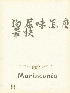 狗尿味怎么去除最快