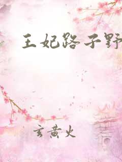 王妃路子野得宠