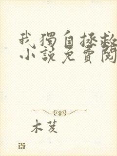 我独自拯救反派小说免费阅读无弹窗