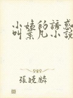 小姨的诱惑主角叫叶凡小说