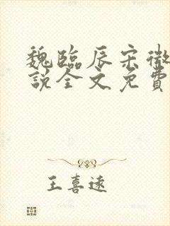 魏临辰宋微微小说全文免费阅读