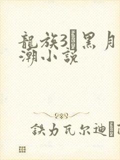 龙族3·黑月之潮小说