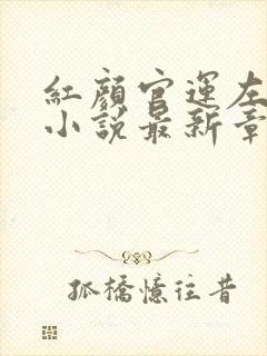 红颜官运左恺宇小说最新章节