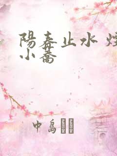 阳春止水 烟树小荞