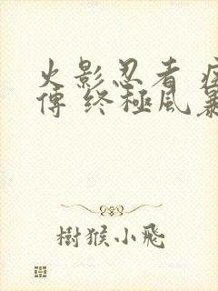 火影忍者 疾风传 终极风暴4