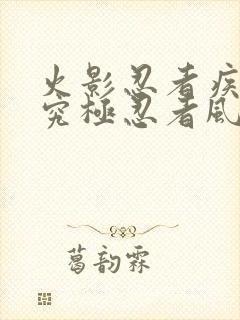 火影忍者疾风传究极忍者风暴1