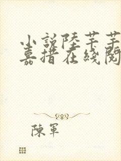 小说陆芊芊洛追嘉措在线阅读