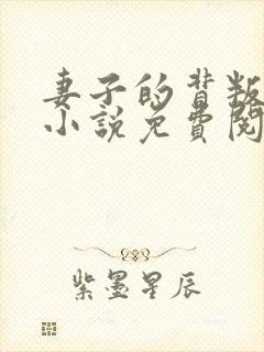 妻子的背叛正版小说免费阅读