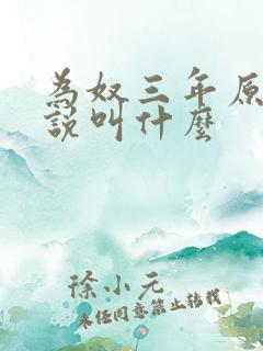 为奴三年原著小说叫什么