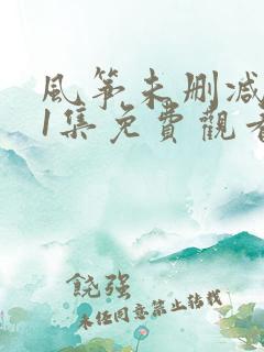 风筝未删减版51集免费观看