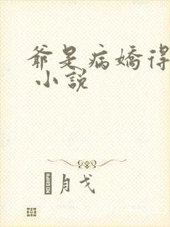 爷是病娇得宠着 小说