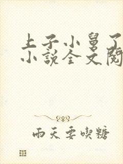 上子小舅了老婆小说全文阅读