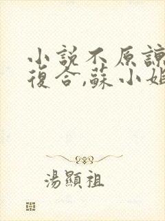 小说不原谅,不复合,苏小姐独美下载