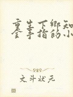 重生下乡知青带金手指的小说