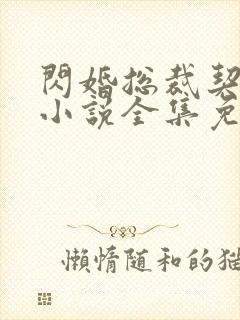 闪婚总裁契约妻小说全集免费阅读