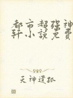 都市超强神医叶轩小说免费阅读