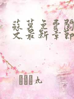 苏莫免费阅读全文最新章节