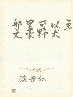 哪里可以免费看文豪野犬