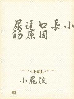 尿道口长小颗粒的原因