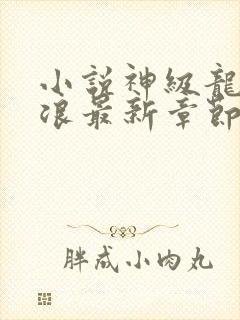 小说神级龙卫沈浪最新章节阅续