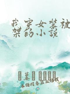 我穿女装被人绑架的小说